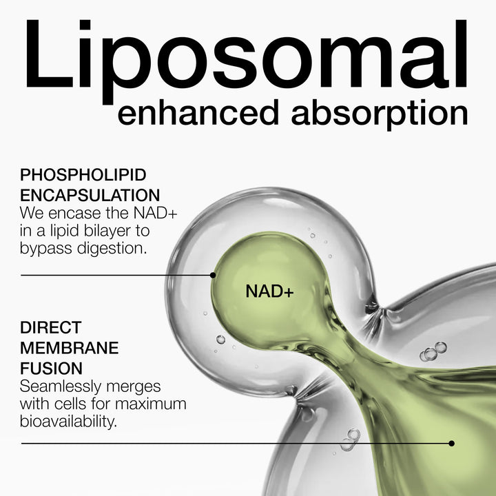 Toniiq Liposomal NAD+ and Resveratrol, 1500mg