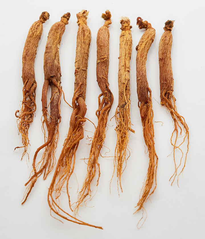 GinsengStoreAndMore Red Panax Ginseng Whole Roots, 4 oz