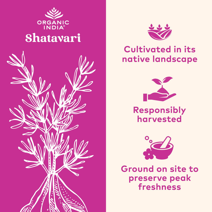 ORGANIC INDIA Shatavari, 90 Count