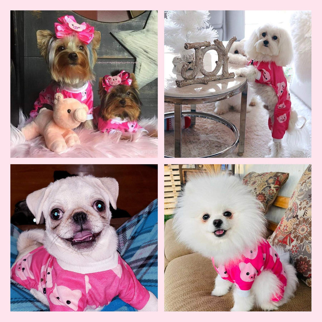 CuteBone Dog Pajamas, Halloween, S