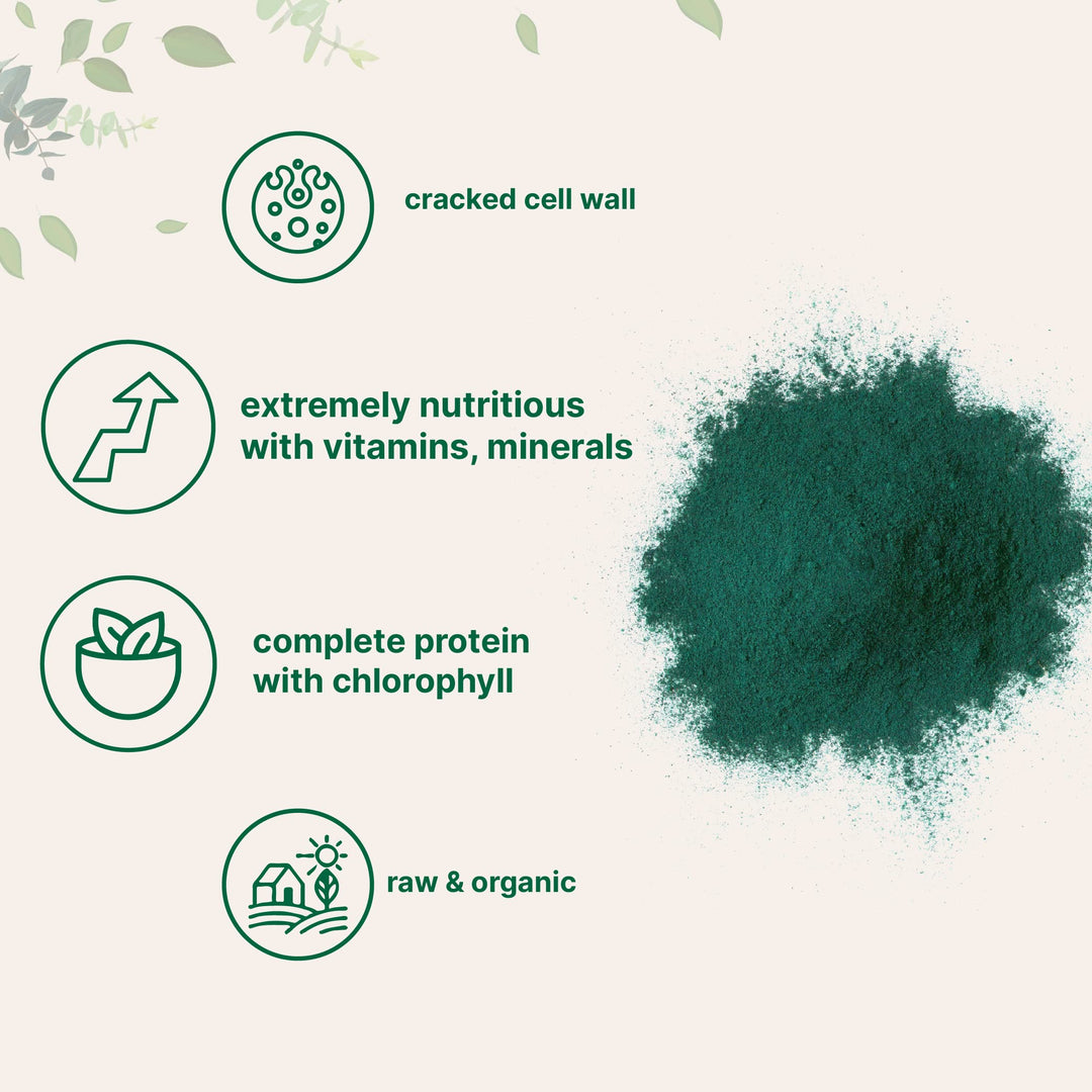 Micro Ingredients Organic Chlorella Powder, 10 oz
