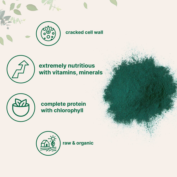 Micro Ingredients Organic Chlorella Powder, 10 oz
