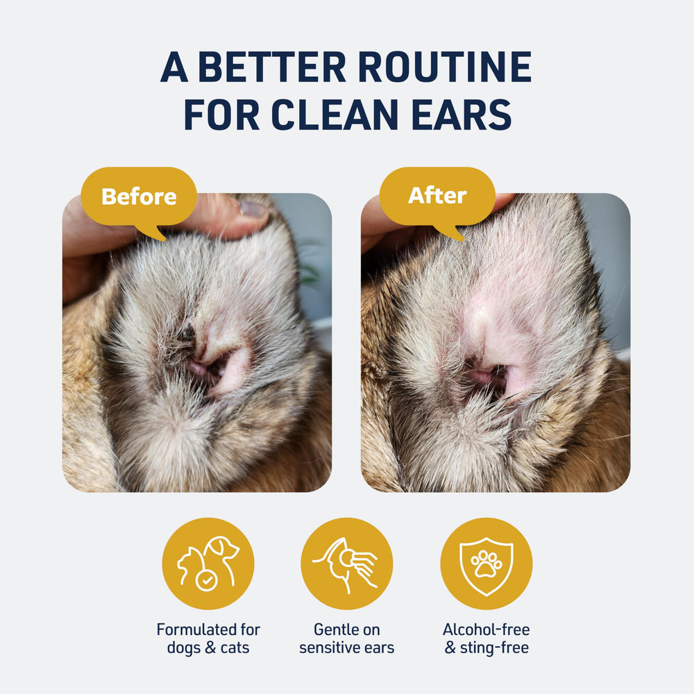 Veterinary Formula Clinical Care Ear Therapy, 4 oz