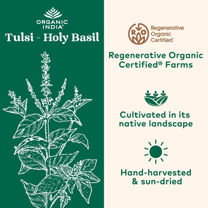 ORGANIC INDIA Tulsi Holy Basil Extract, 180 Count