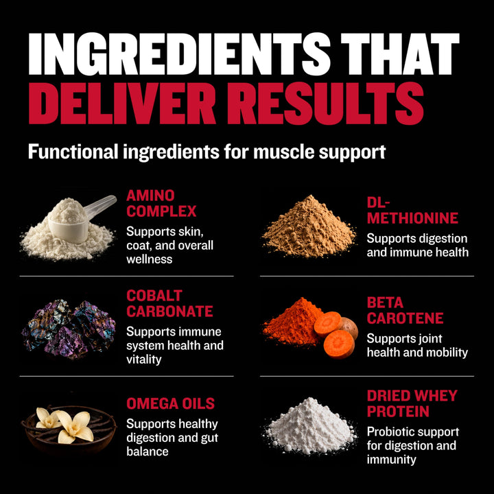 Bully Max Muscle Builder Chewable Tablets, 60 Count