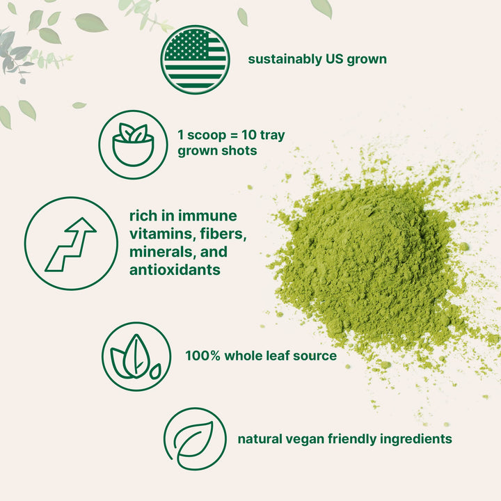 Micro Ingredients Organic Wheat Grass Powder, 16 oz
