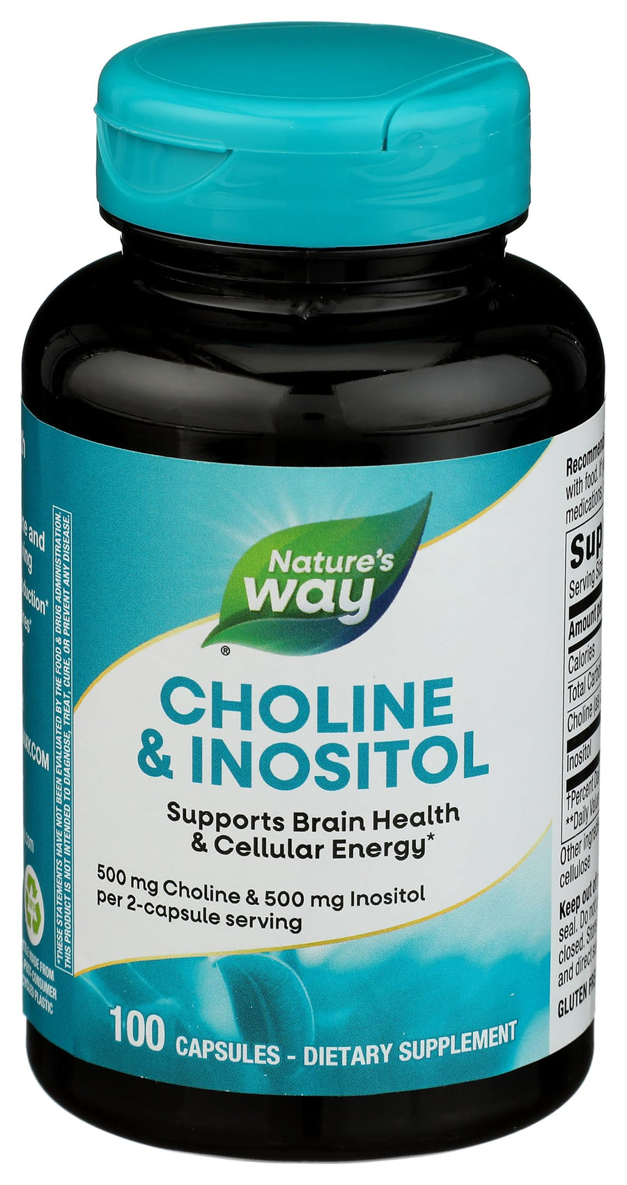 Nature's Way Choline-Inositol, 500 mg, 100 Count
