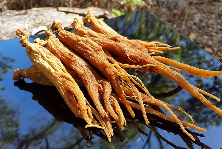 GinsengStoreAndMore Red Panax Ginseng Whole Roots, 4 oz