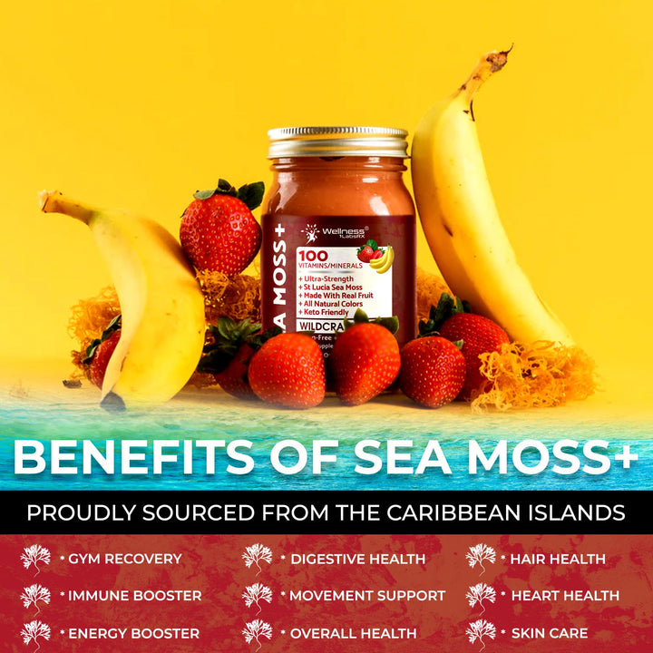 WELLNESS LABSRX Sea Moss Gel, Strawberry Banana, 10 oz