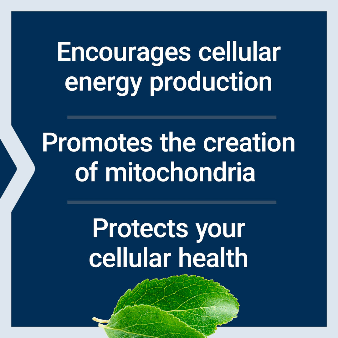 Life Extension Mitochondrial Energy Optimizer With PQQ, 120 Count