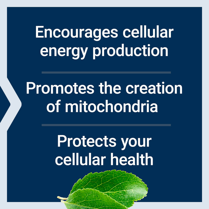 Life Extension Mitochondrial Energy Optimizer With PQQ, 120 Count