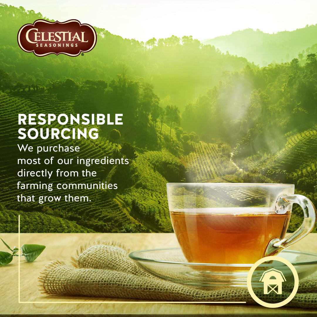 Celestial Seasonings Chamomile Herbal Tea, Honey Vanilla, 20 Count