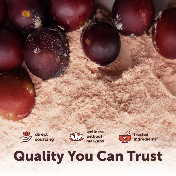 Micro Ingredients Peruvian Camu Camu Powder Organic, Natural Vitamin C, 8 oz