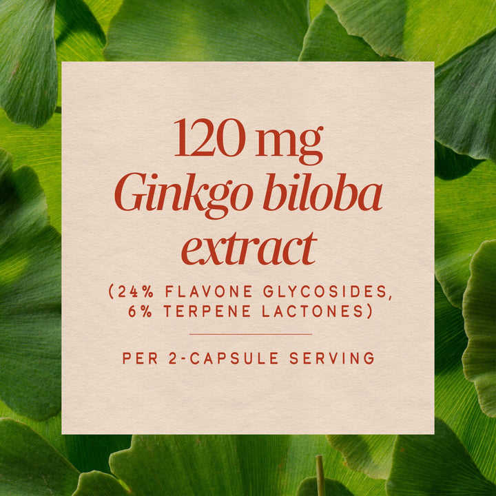 Nature's Way Ginkgo, 60 Count