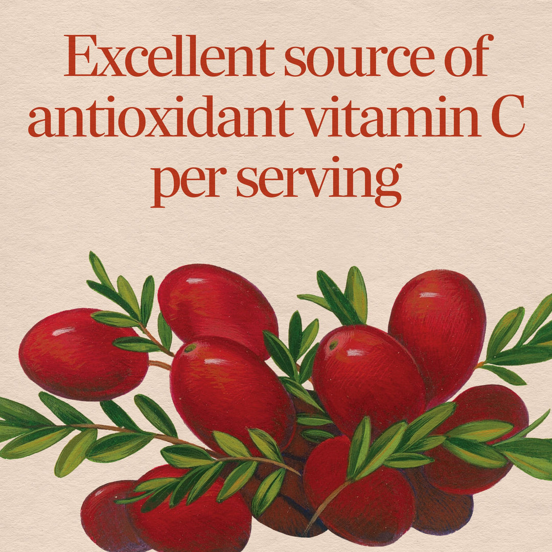 Nature's Way Cranberry Standardized Extract, 60 Count