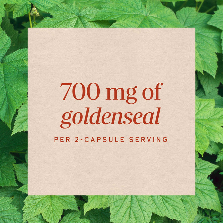 Nature's Way Goldenseal Herb, 800 mg, 100 Count
