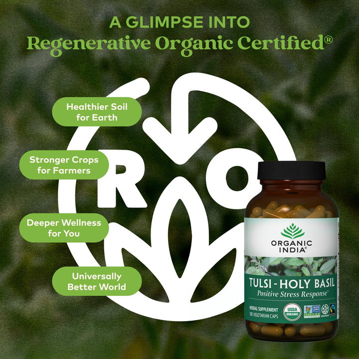 ORGANIC INDIA Tulsi Holy Basil Extract, 180 Count