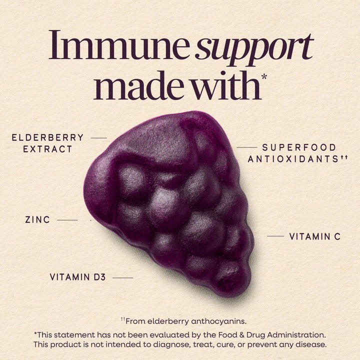 Nature's Way Sambucus Elderberry Gummies, 60 Count