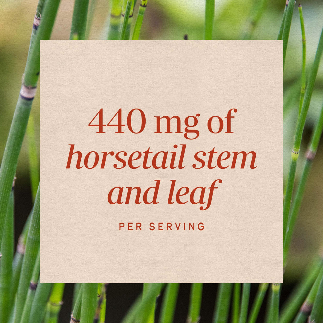 Nature's Way Horsetail Grass, 440 mg, 100 Count