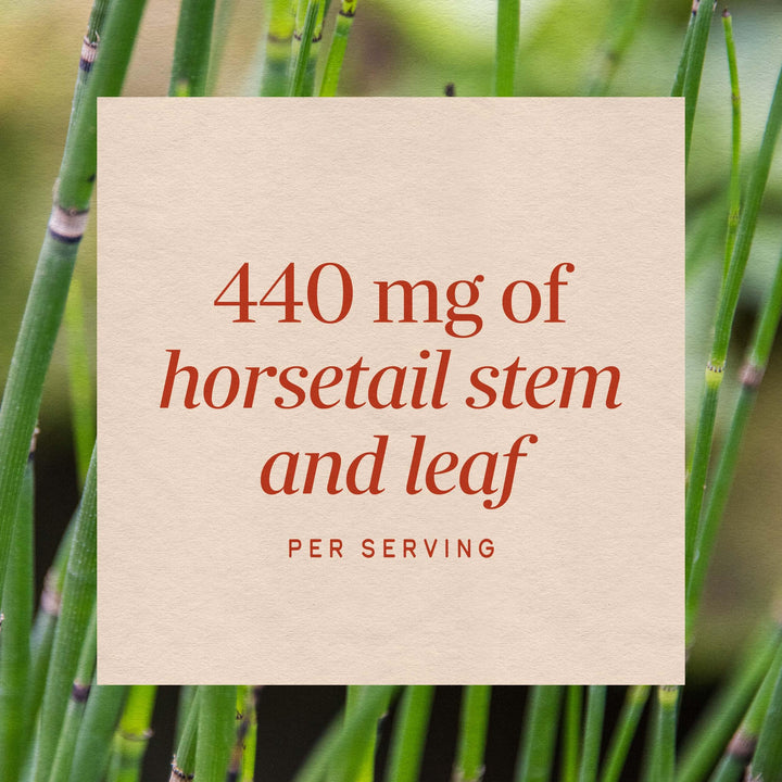 Nature's Way Horsetail Grass, 440 mg, 100 Count