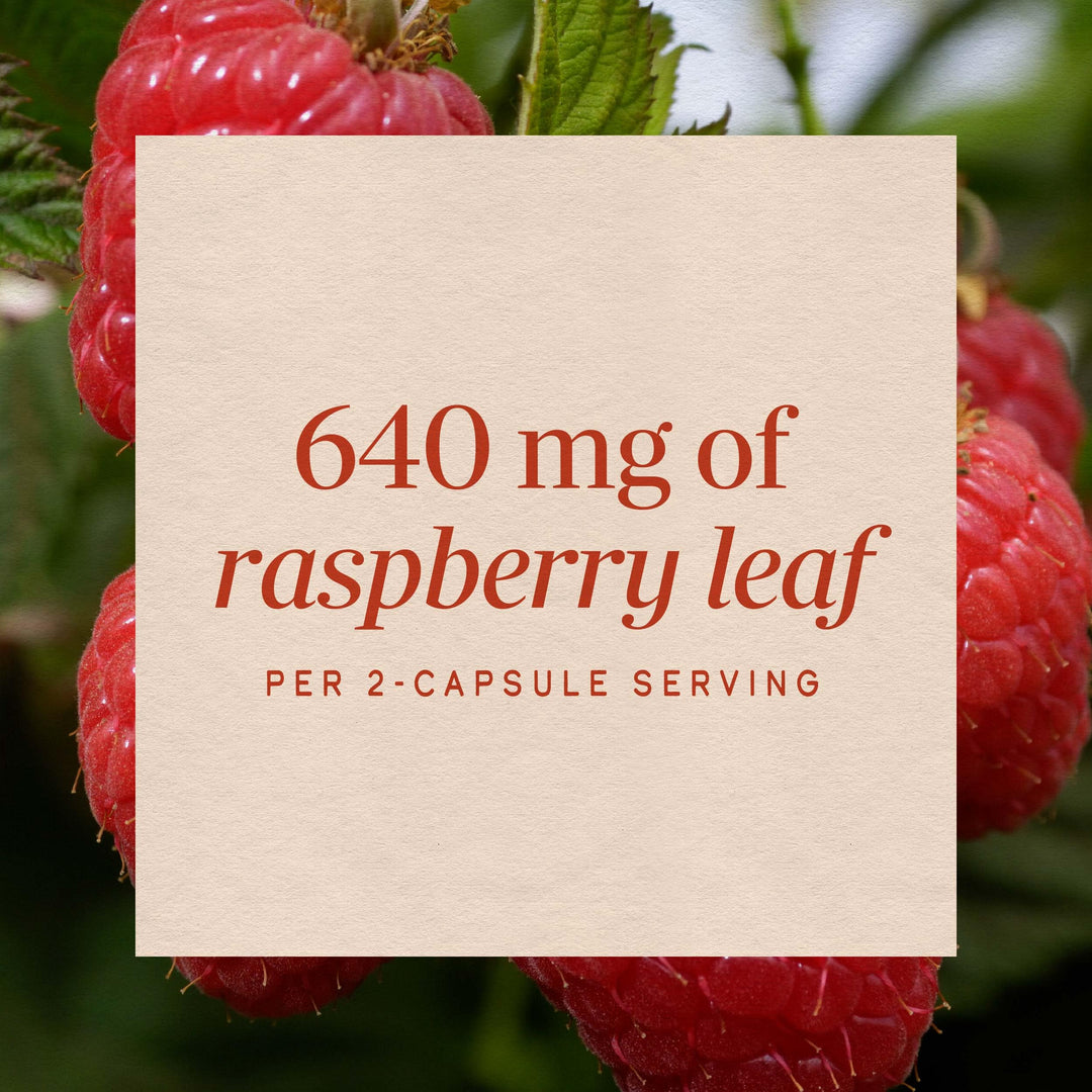 Nature's Way Raspberry Leaf, 100 Count