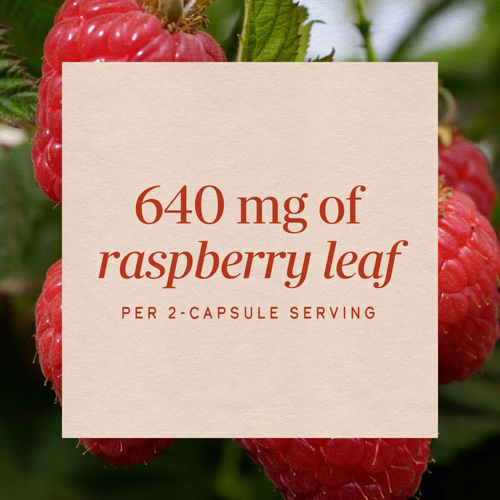 Nature's Way Raspberry Leaf, 100 Count