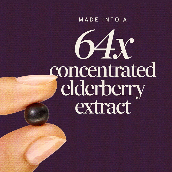 Nature's Way Sambucus Elderberry Gummies, 60 Count