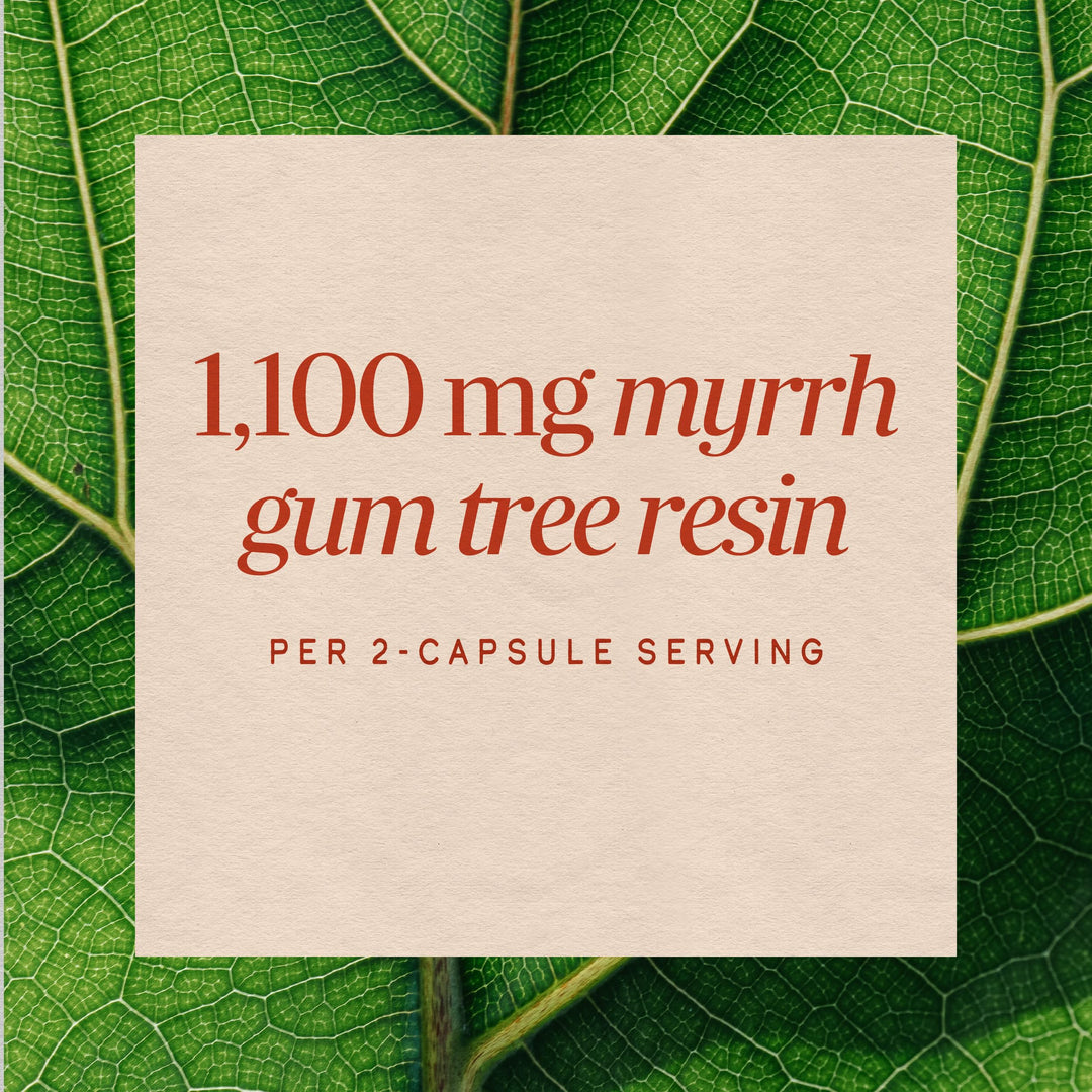 Nature's Way Myrrh Gum Tree Resin, 550 mg, 100 Count