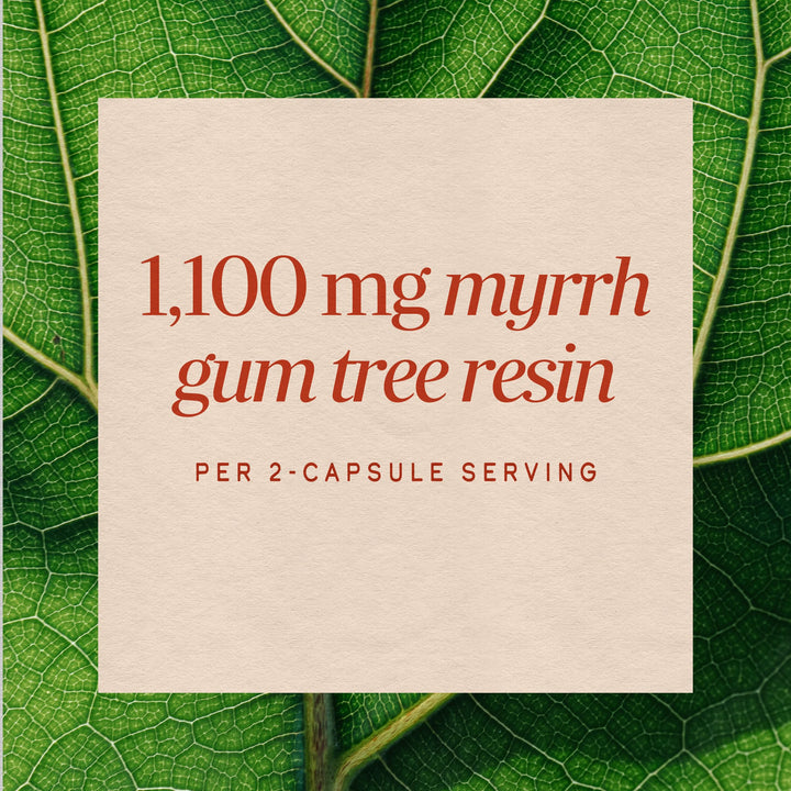 Nature's Way Myrrh Gum Tree Resin, 550 mg, 100 Count