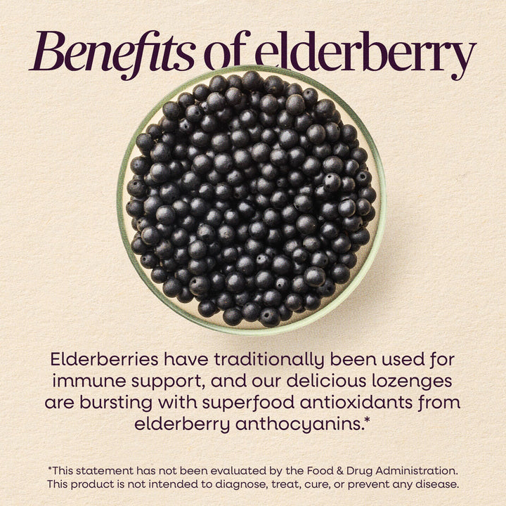 Nature's Way Sambucus Immune Lozenges, Elderberry Peppermint, 24 Count