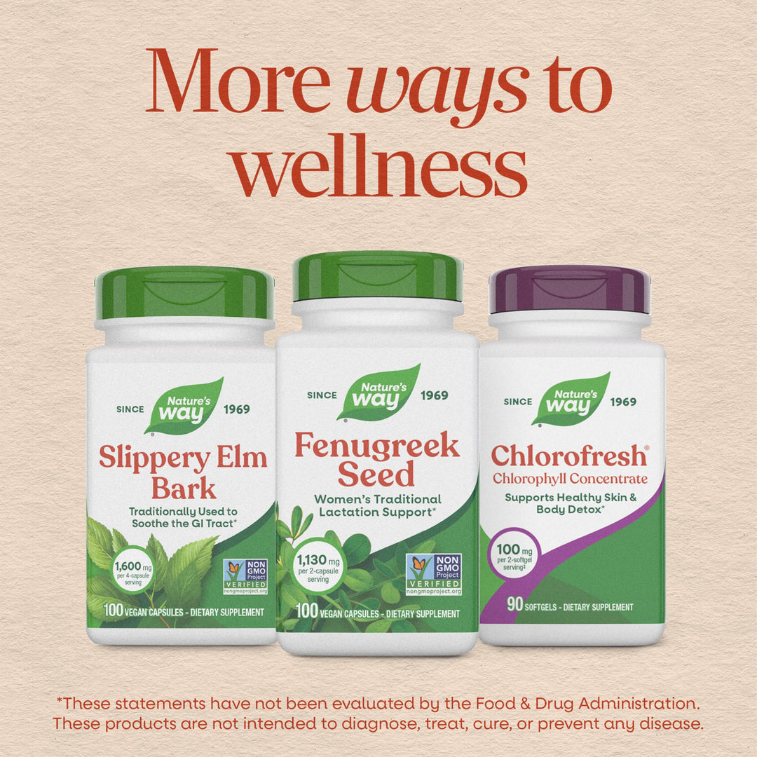 Nature's Way Fenugreek Seed Dietary Supplement, 320 Count