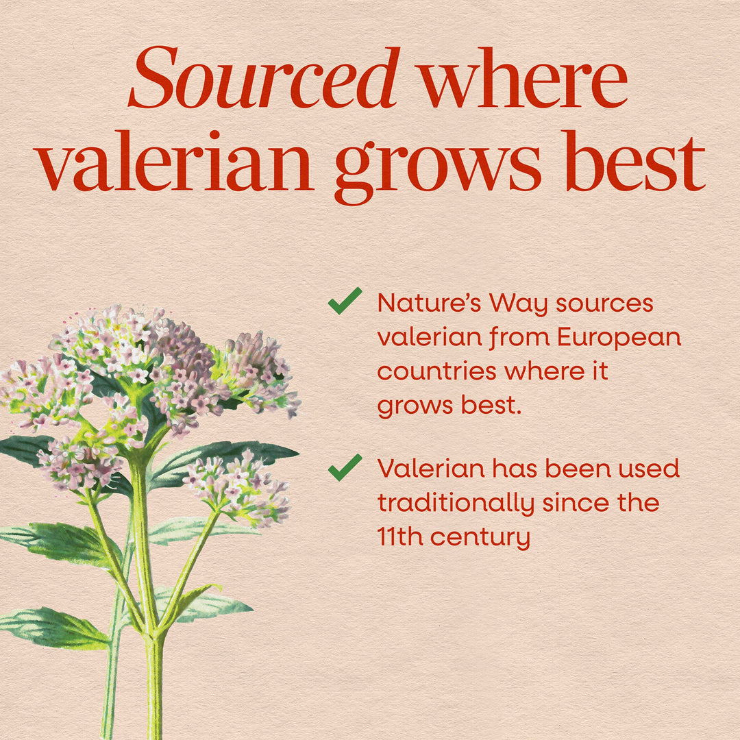 Nature's Way Valerian Nighttime, 100 Count