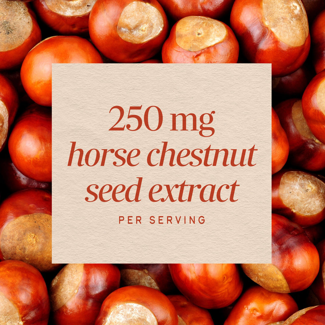 Nature's Way Horse Chestnut Extract, 90 Count