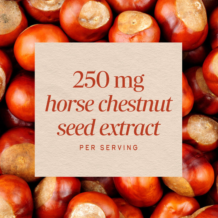 Nature's Way Horse Chestnut Extract, 90 Count