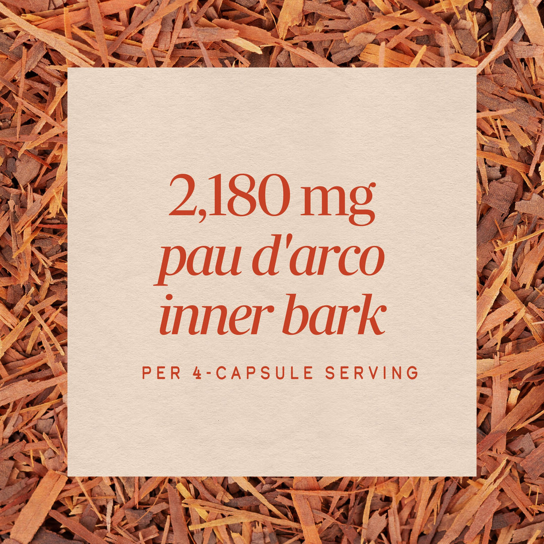Nature's Way Pau d'Arco Inner Bark, 100 Count