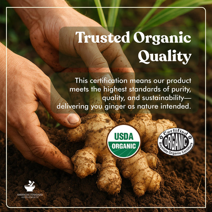 American Standard Supplements Organic Ginger Extract, 90 Count