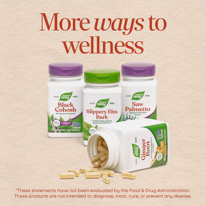 Nature's Way Ginger Root, 1,100 mg, 100 Count