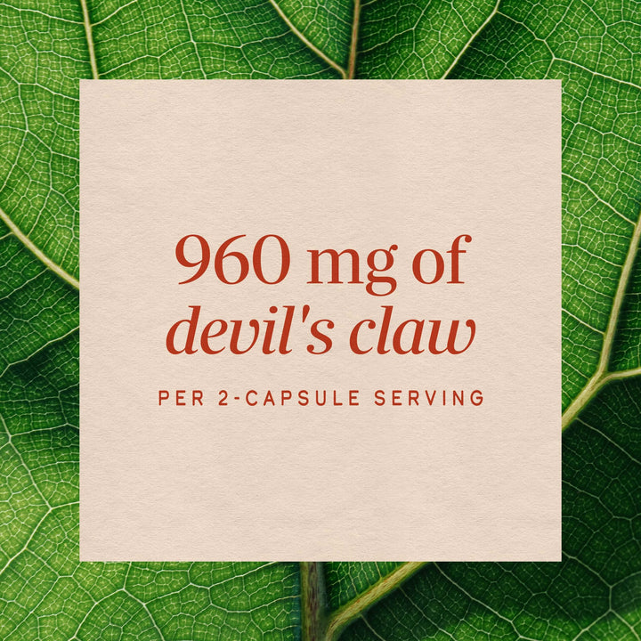 Nature's Way Devil's Claw Secondary Root, 480 mg, 100 Count