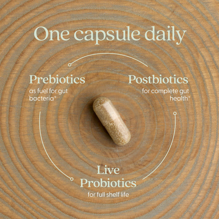 New Chapter All-Flora Probiotic, 60 Count