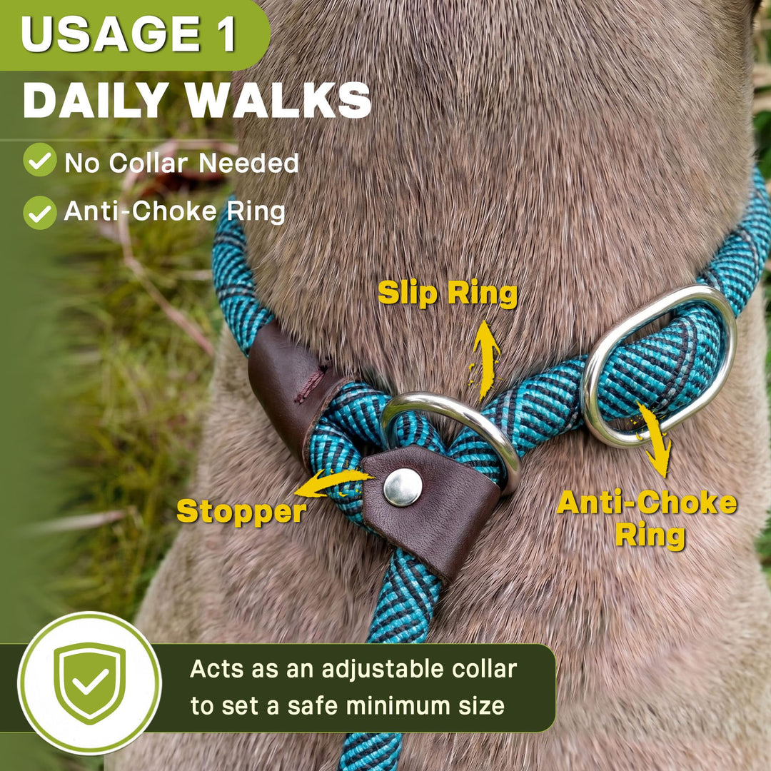 Fida Slip Lead Dog Leash, Blue, 6 ft x 3/8 in