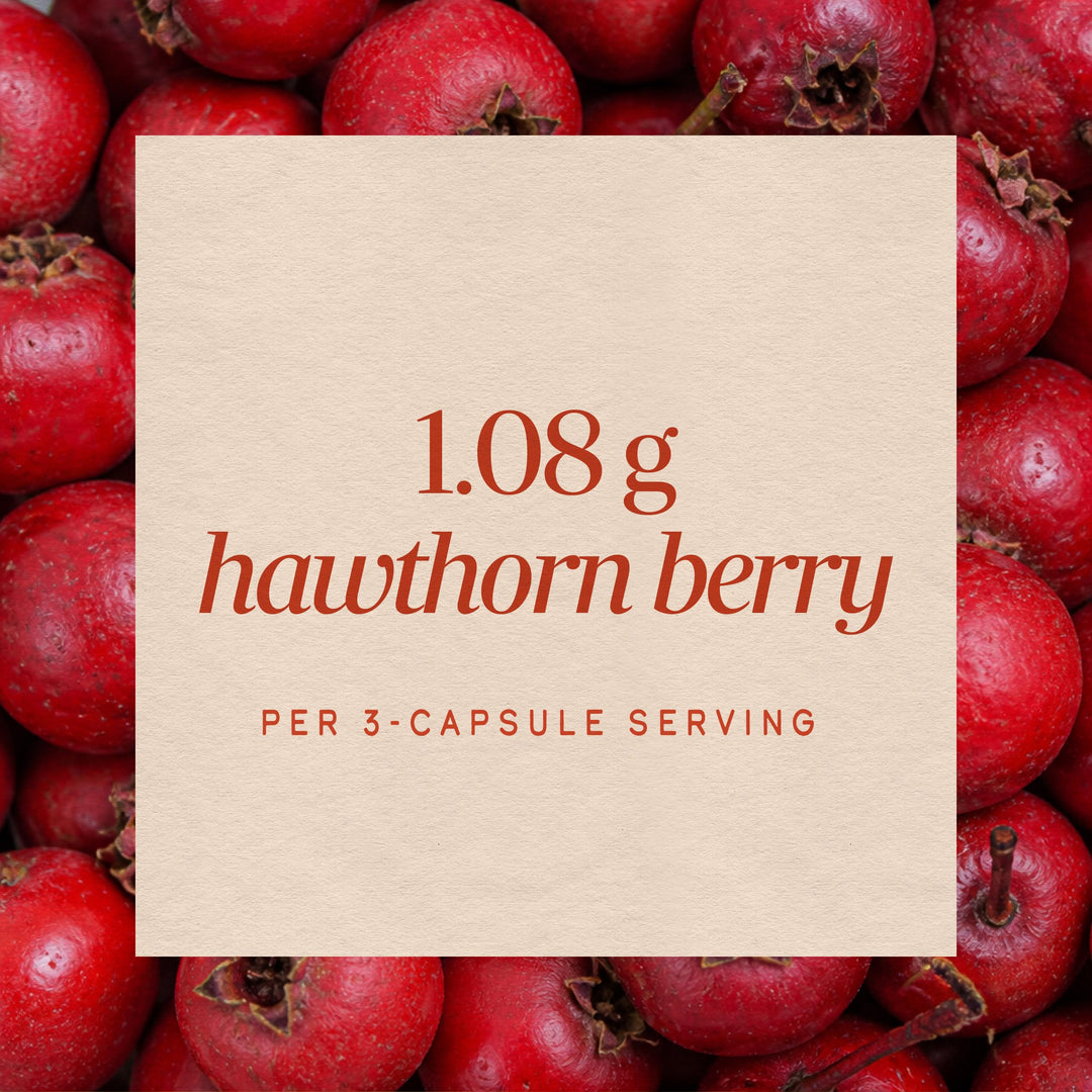 Nature's Way Hawthorn Berries, 100 Count