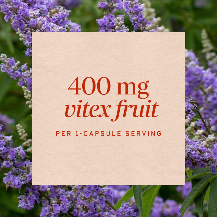 Nature's Way Vitex Fruit Capsules, 320 Count
