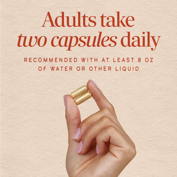 Nature's Way Ginger Root Capsules, 1110 mg, 240 Count