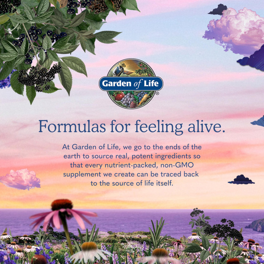 Garden of Life Vitamin Code Raw Zinc, 30 mg, 60 Count