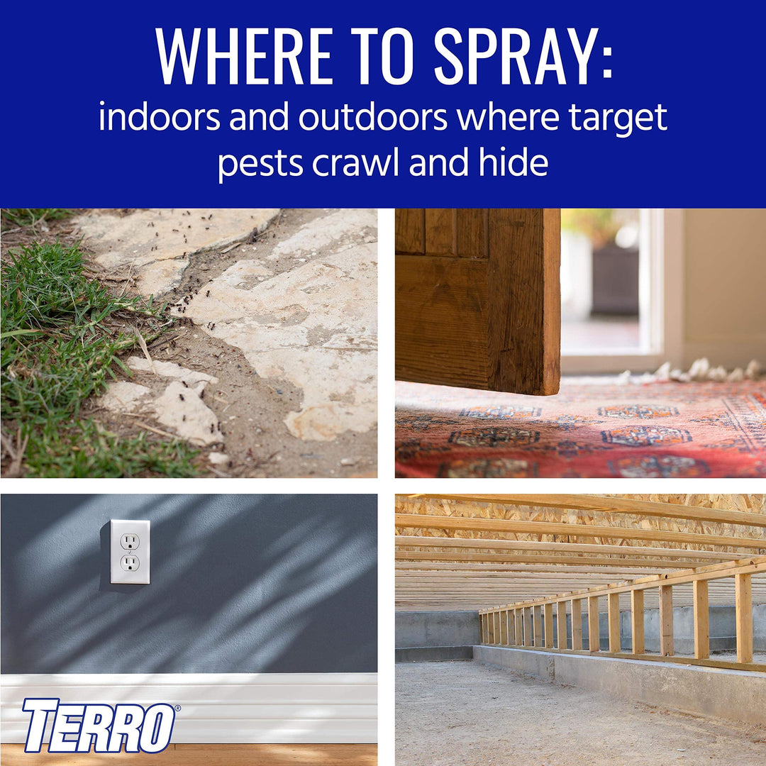 Terro Spider Killer Spray, 6 Count