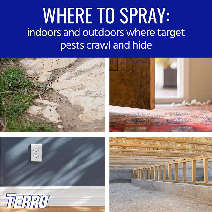 Terro Spider Killer Spray, 6 Count