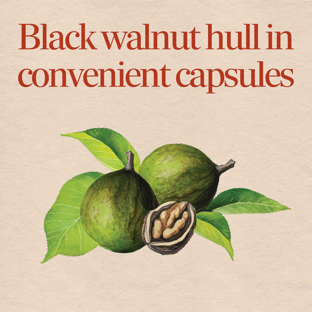 Nature's Way Black Walnut Hulls Capsules, 900 mg, 100 Count