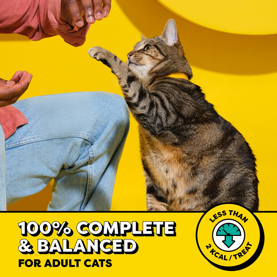 Temptations Classic Crunchy Cat Treats, Blissful Catnip, 16 oz