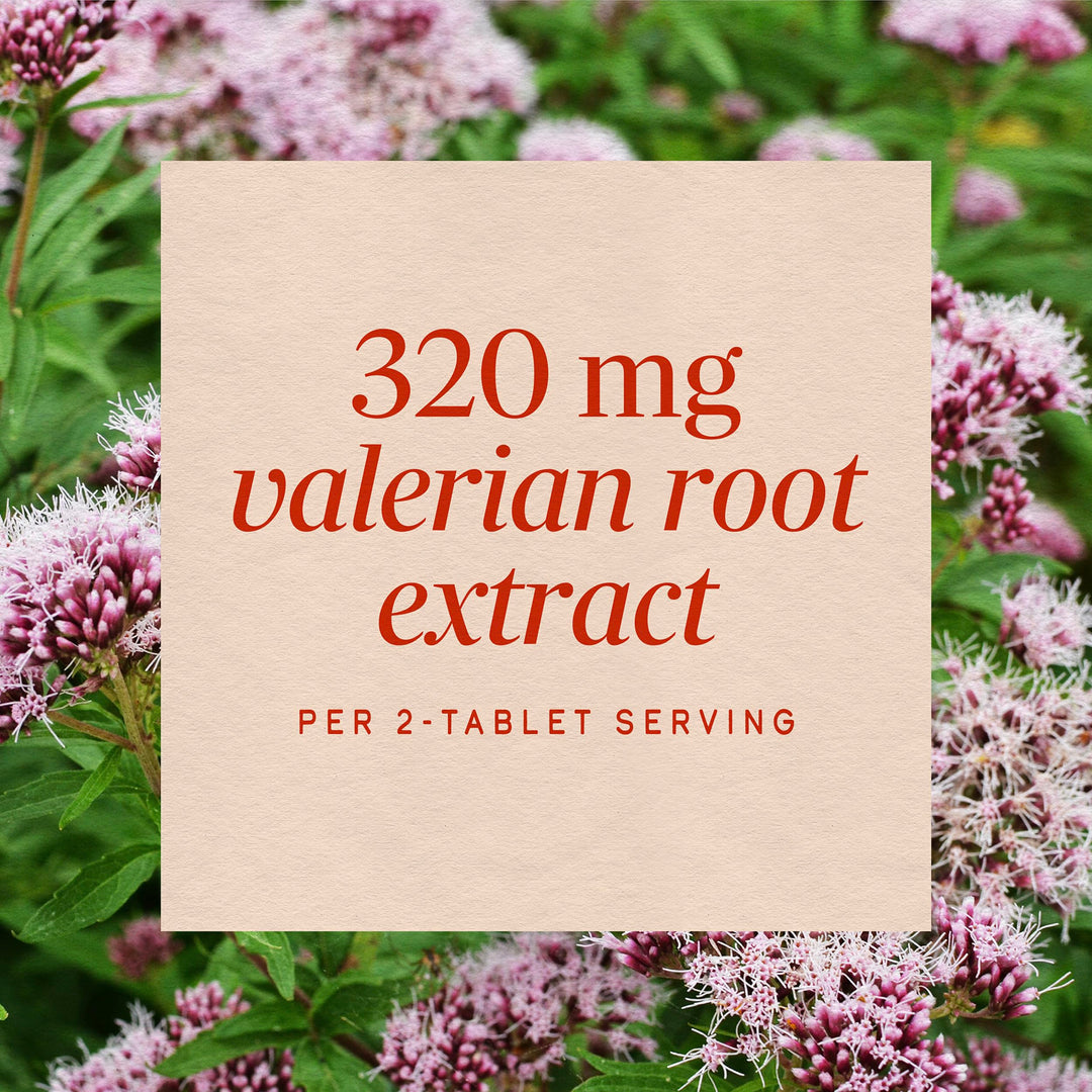 Nature's Way Valerian Nighttime, 100 Count