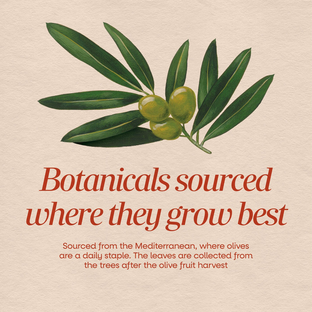 Nature's Way Olive Leaf Extract, 250 mg, 60 Count